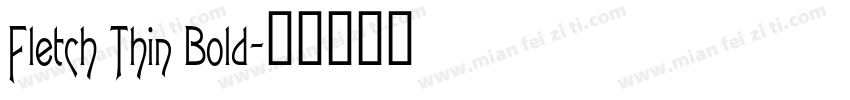 Fletch Thin Bold字体转换